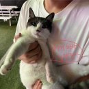 글램비글램핑 | 제부도 글램핑 ‘글램비글램핑’ 후기