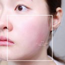 피부진정 추천 ! 올리브영 한율 쑥시카 수부지 수분크림 트러블 진정 미스트 꿀조합 후기