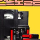 인트로시스템