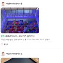 바른피싱 이미지