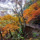 옛날의그집 이미지