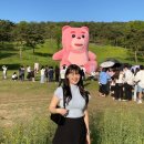 화순불미나리 | [화순 가볼 만한 곳] “화순 고인돌 봄꽃 축제” 벨리곰 보러 갔다가 사람 구경하고 온 후기