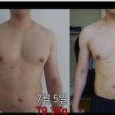 운동살짝만 해본 일반인이 4주동안 매일 팔굽혀펴기 150개씩 한 결과....JPG 이미지