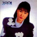 김지애 카카오 검색결과