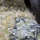 청풍호수펜션 이미지