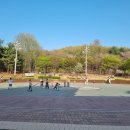 꿩고개 유아숲체험원 이미지