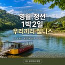 성호로 100 | 영월 다슬기해장국 맛집 성호식당 다녀온 기록, 청령포 여행 후 들른 점심 후기