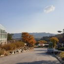 강화군 티앤림 자연휴양림 이미지