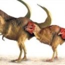 공룡코딱지 이미지