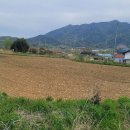 (경남고성부동산/고려부동산)거류면/ 계획관리 일조량좋은 남향 의 토지매매/3,918제곱미터(1,185)/3억5,550만원 이미지