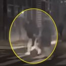 횡단보도 부근 이미지