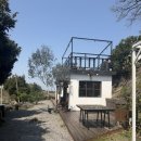 올데이모즈 | 제주 동쪽 카페 올데이모즈 조천녹차밭점 솔직후기