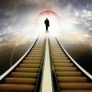 CarpeDiem(카르페디엠) 이미지