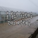 은이농장 이미지