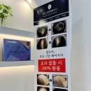 댕댕살롱앤스파 | 광주 미용실 에코레비헤어앤스파 하남점 원킬보톡스 크리닉