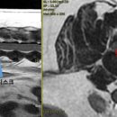 천안24시스카이동물메디컬센터 이미지
