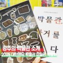 광주 신창동 유적 | 2025 박물관 미술관 박람회에서 만난 광주의 박물관 (ft. 국림광주박물관, 광주역사민속박물관)