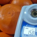 보내농장 이미지