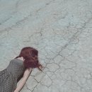 여우비112 네이버블로그