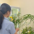 힐링플라워 클래스 이미지