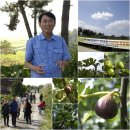 삼호농장 이미지