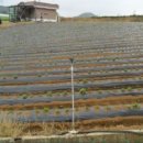 매수1리마을회관 이미지