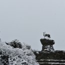 동상농장 이미지