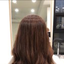 살롱드펌
