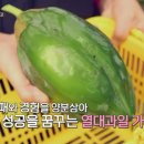 장보고과일