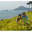 사람과나무 이미지