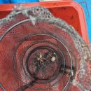 대야도항 | 충남 태안 쭈꾸미낚시 차박: 태안 대야도항 쭈꾸미낚시(9월19일~20일)