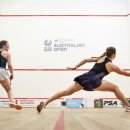 피티찬스 이미지