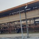 망주보건진료소 이미지