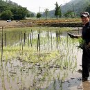 다문화 도서관 이미지