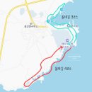 호텔올레 | [제주] 제주 러닝 코스 추천: 해비치 호텔 근처 올레길 3·4코스 후기