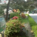 원평초등학교 이미지