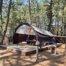 맹방비치캠핑장 이미지