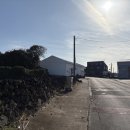 제주함덕청춘어시장 이미지