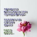 그냥ㅡ 조 항조 노래ㅡ 중국 계림 여행 ㅡ 이강 유람 뱃놀이 ㅡ 이미지