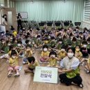 춘천유치원 이미지