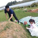 진봉농장 이미지