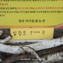 정선아기동물농장 이미지