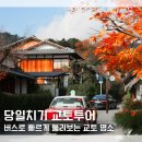 EG투어버스 H코스 | 교토버스투어 일정 코스 짤 필요 없는 당일치기 일일투어 추천