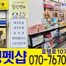 힐링펫샵 이미지