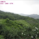 질가마골 이미지