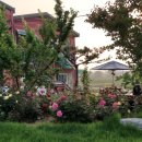 에그트리 이미지