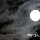 (주) 줌인 이미지