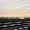 드림독 강아지분양 안심분양센터 잠실점 이미지