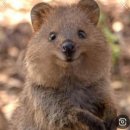 전주해장촌 | 좨니의 워라밸을 찾아서