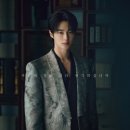 하니부인 이미지